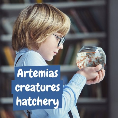 Jurassic Pets Kit I. Gra edukacyjna dla dzieci