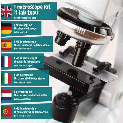 MICROSCOPE. Gra edukacyjna dla dzieci