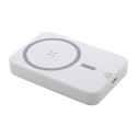 Power bank RABS