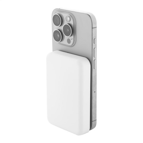 Power bank RABS
