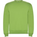 Bluza Clasica KIDS 280 g/m² zieleń oazy