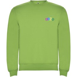Bluza Clasica KIDS 280 g/m² zieleń oazy