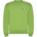 Bluza Clasica KIDS 280 g/m² zieleń oazy