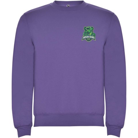 Bluza Clasica 280 g/m² irlandzki fiolet (R1070E92)