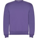 Bluza Clasica 280 g/m² irlandzki fiolet (R1070E93)