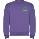 Bluza Clasica 280 g/m² irlandzki fiolet (R1070E95)