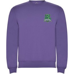 Bluza Clasica 280 g/m² irlandzki fiolet (R1070E96)