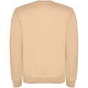 Bluza Clasica KIDS 280 g/m² angora (K10701GJ)
