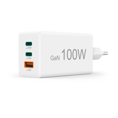 Ładowarka ścienna 100W Hama