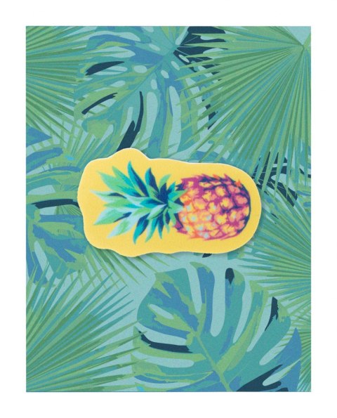 ShapeCam osłona na kamerę