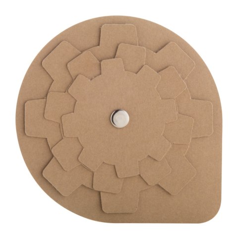 Spinalis Eco puzzle