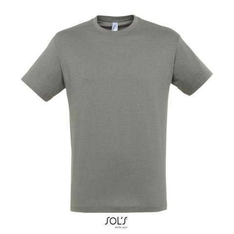 REGENT UNI T-SHIRT 150g Zinc XS