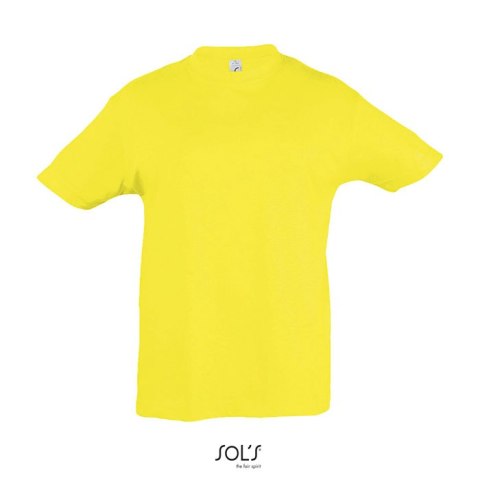 REGENT Dziecięcy T-SHIRT lemon 3XL