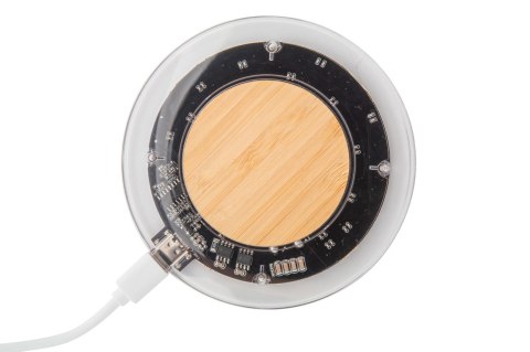 Ładowarka indukcyjna